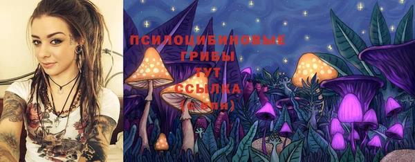 героин Богданович